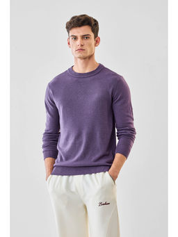 Snitch - Purple Solid Full Sleeves Regular Casual Sweater