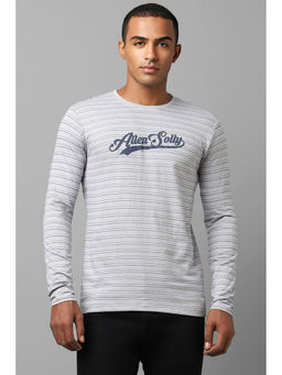 Allen Solly - Men Grey Stripe Crew Neck T-Shirt