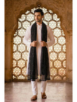 Zamour - Pure Cotton Embroidered Dupatta with Sequin