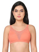 Orange color option, Currently selected