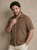 Brown color option, Currently selected