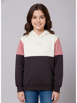 Alan Jones - Cotton Colorblock Hoodie - Dark Grey