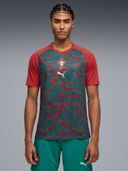 Red color option, Currently selected