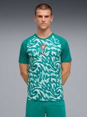 Green color option, Currently selected
