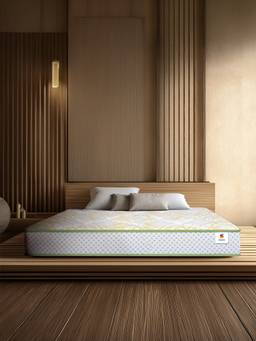Sleepwell - Spine Tech Classic Mattress Queen