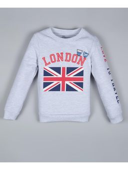 PLUM TREE - Boys Grey Graphic Pullover Sweatshirt