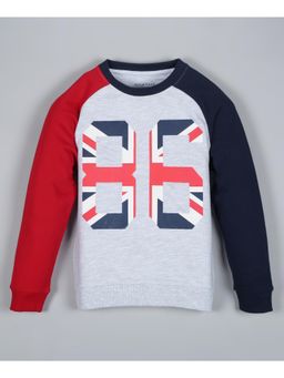 PLUM TREE - Boys Grey Colorblock Pullover Sweatshirt