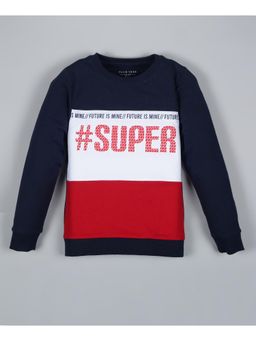 PLUM TREE - Boys Multi-Color Colorblock Pullover Sweatshirt