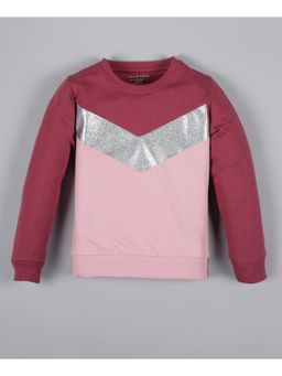 PLUM TREE - Girls Multi-Color Colorblock Pullover Sweatshirt
