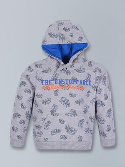 PLUM TREE - Boys Grey Printed Hoodie