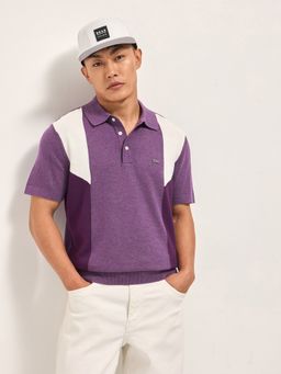 The Bear House - Mens Regular Purple Colorblock Cotton Polo T-Shirt