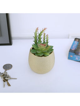 HomeTown - Jazzy Bonsai Plant, Gold