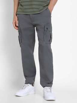 American Eagle - Men Grey Flex Lived-In Cargo Pant