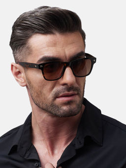 Shisen Fox - Shinzo Dark Brown Frame Brown Lens Sunglasses (52)