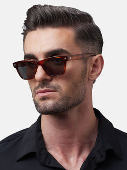 Shisen Fox - Shinzo Brown Frame Green Lens Sunglasses (52)