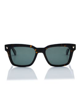 Shisen Fox - Okinawa Dark Brown & Polarized 2.0 Frame Green Lens Sunglasses