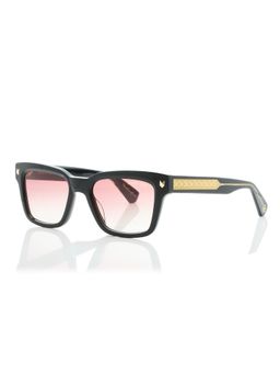 Shisen Fox - Okinawa Black - Gold 2.0 Frame Brown Lens Sunglasses