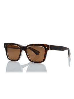 Shisen Fox - Okinawa Brown - Crystal & Polarized 2.0 Frame Brown Lens Sunglasses
