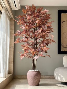 Mason Home - Artificial Canadian Maple Plant - 6.5 Feet