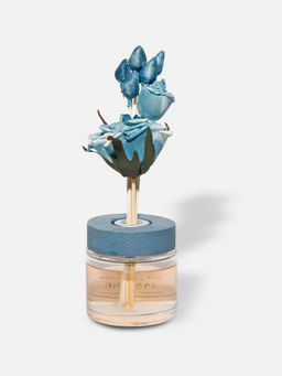 Home Couture Collective - Noir Bloom (Jasmine)100 Ml