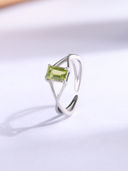 Silver color option, Currently selected