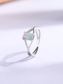 Silver color option, Currently selected