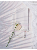 White color option, Sold out