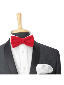 PELUCHE - Solid Essentials Red Velvet Bow Tie