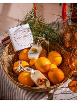 Rad Living - The Tangerine Thief Fragrance Bars (Set of 2)
