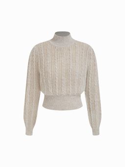 Cider - Wool Blend Cable Knit High Neck Solid Long Sleeve Sweater