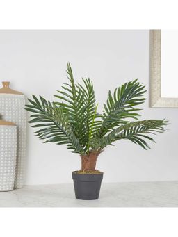 HomeTown - Ilana Artificial Palm Potted Tree 60 cm In Green Colour