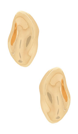 SHASHI - Barcelona Stud