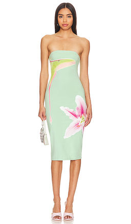 Tyler McGillivary - Luna Moth Dress
