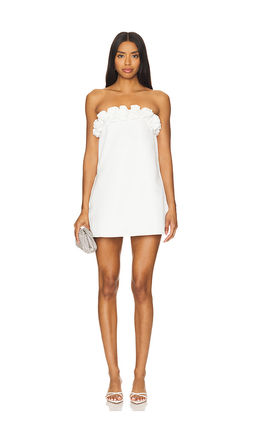 Weworewhat - Rose Mini Dress