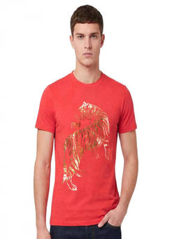 Cavalli Class - Red Graphic Logo Print T-Shirt