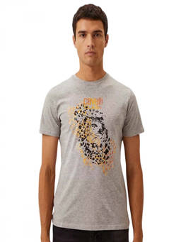 Cavalli Class - Grey Graphic Logo Print T-Shirt