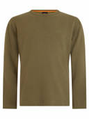 Olive color option
