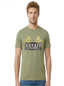 Olive color option, Currently selected