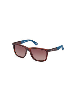 SKECHERS - Brown Injected Sunglasses SE6221 54 52H (54)
