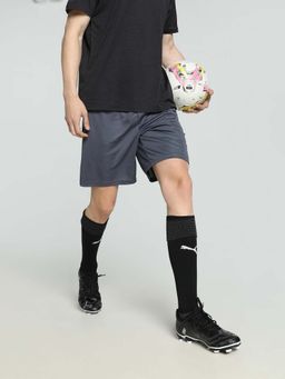 Puma - Individualligatraining Men's Grey Shorts