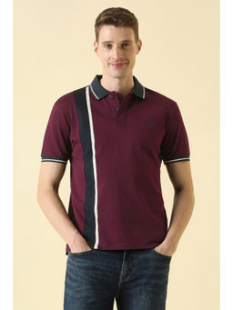 Allen Solly - Men Maroon Polo T-Shirt