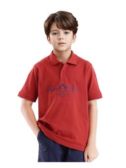 RARE ONES - Aimo Dark Rust Cotton Half Sleeve Hd Print Polo T-shirt - Rare Ones By Rare Rabbit