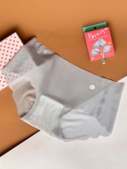 Clovia - Grey Nylon Medium Waist Outer Elastic Hipster Panty