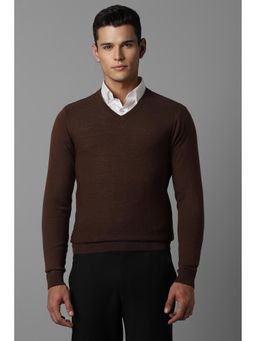 Louis Philippe - Men Brown Self Design V Neck Full Sleeves Sweater