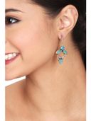 Aqua color option, Currently selected