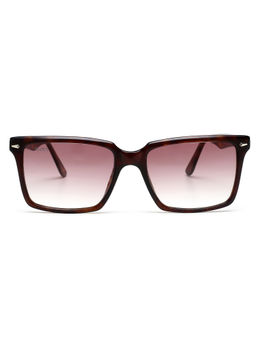 Scott Sunglasses - Brown Lens Rectangle Sunglass Full Rim Brown Frame - Scott 10012 Clive C2 54 S