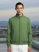 Green color option, Currently selected