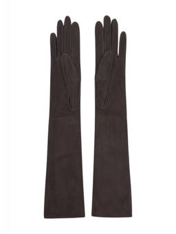 Lanvin - Mocha Brown Long Gloves