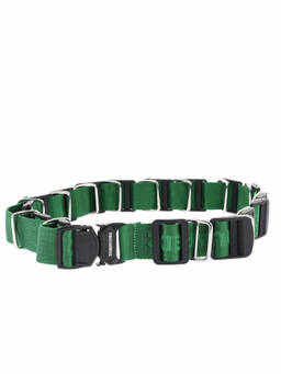 Dsquared2 - Green Logo Belt (32)