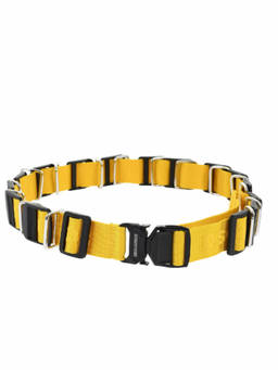 Dsquared2 - Yellow Logo Belt (32)